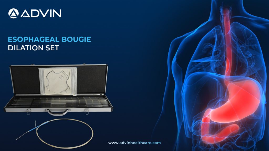 Esophageal Bougie Dilation Set – Structured Solution for Progressive Esophageal Expansion